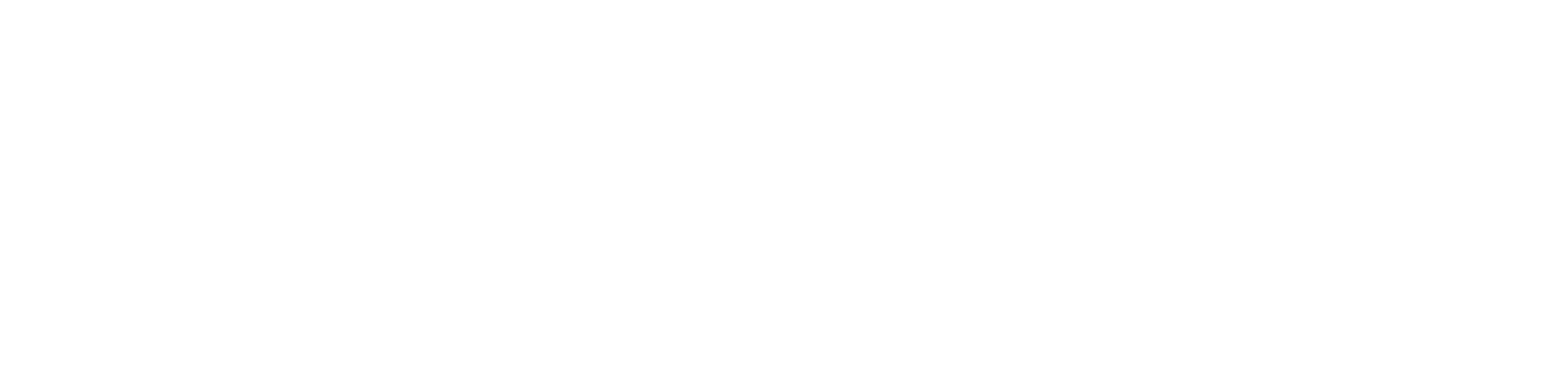 Conecta Mass Logo